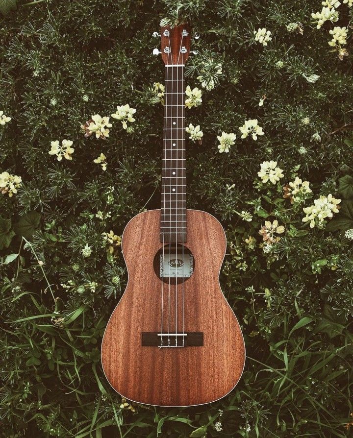 a ukulele sitting in the middle of some flowers