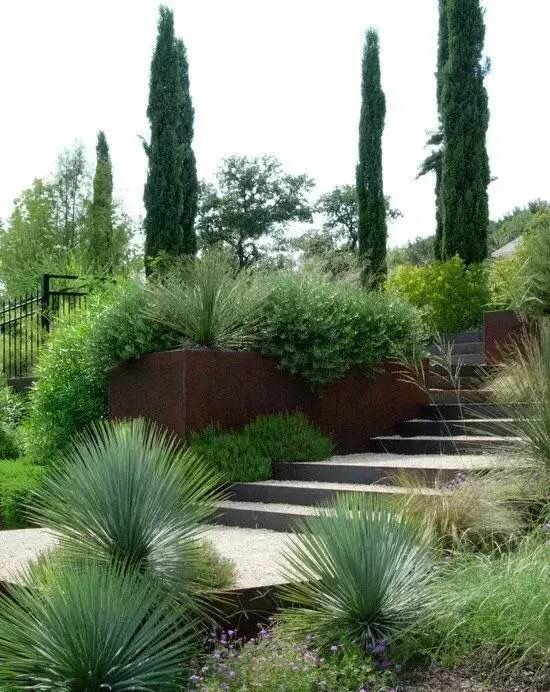 an outdoor garden with plants and stairs