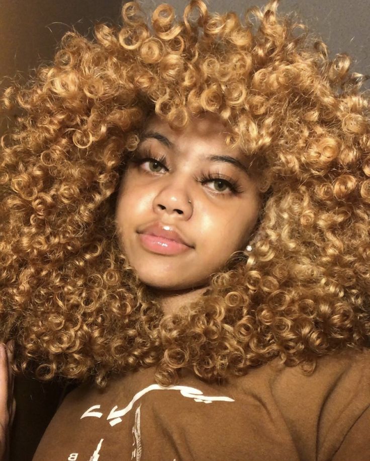 her ig: @iblasiandoll ♡ Dyed Curly Hair, Honey Brown Hair, Ginger Hair Color, Blonde Curly Hair, Dyed Hair Inspiration, Colored Curly Hair, Dyed Natural Hair, Honey Blonde Hair, Curly Girl Hairstyles