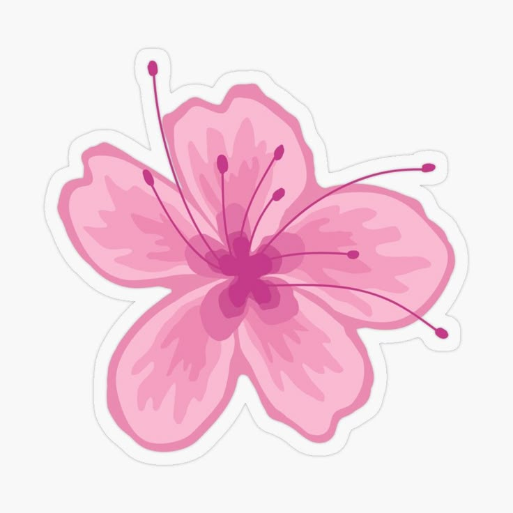 a pink flower sticker on a white background