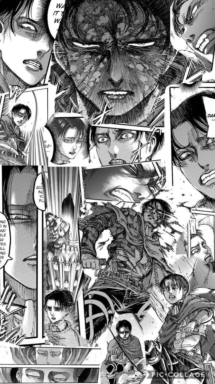 Levi Ackerman chapter 113 | Shingeki no kyojin, Anime, Shingeki no