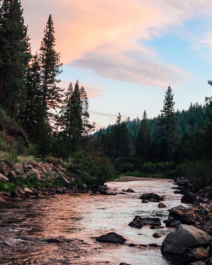 a river running through a forest filled with lots of rocks and trees in the distance