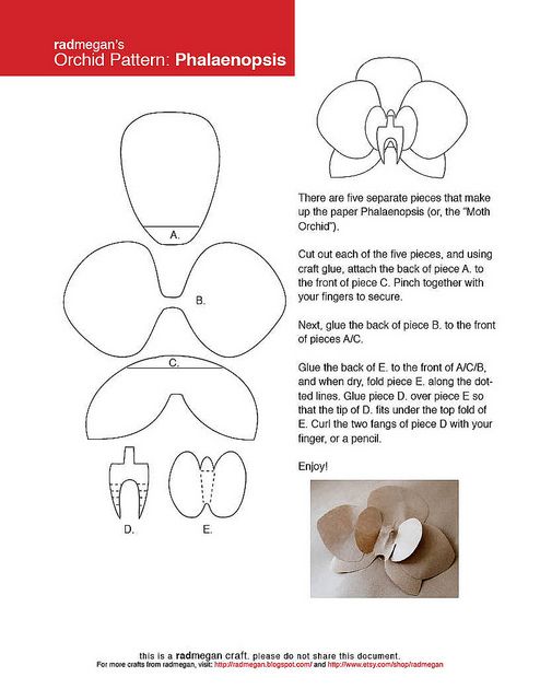 the instructions for how to make an origami phalanophaia flower