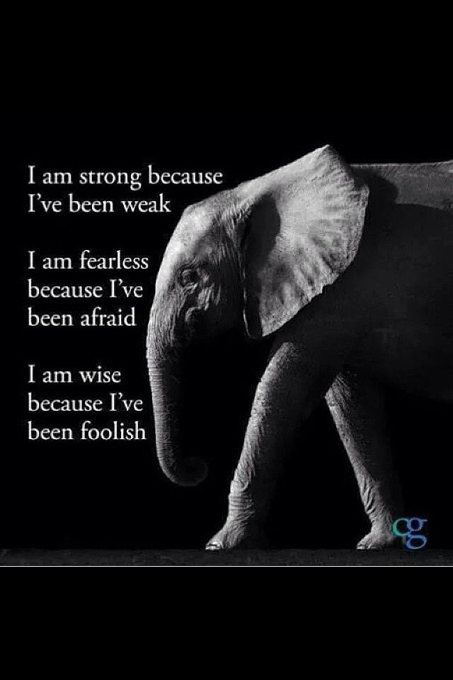 I am strong Elephants Never Forget, Sunday Inspiration, Quotes About Everything, Positive Inspiration, Memorable Quotes, I Am Strong, Meaningful Words, Good Life Quotes, Good Thoughts