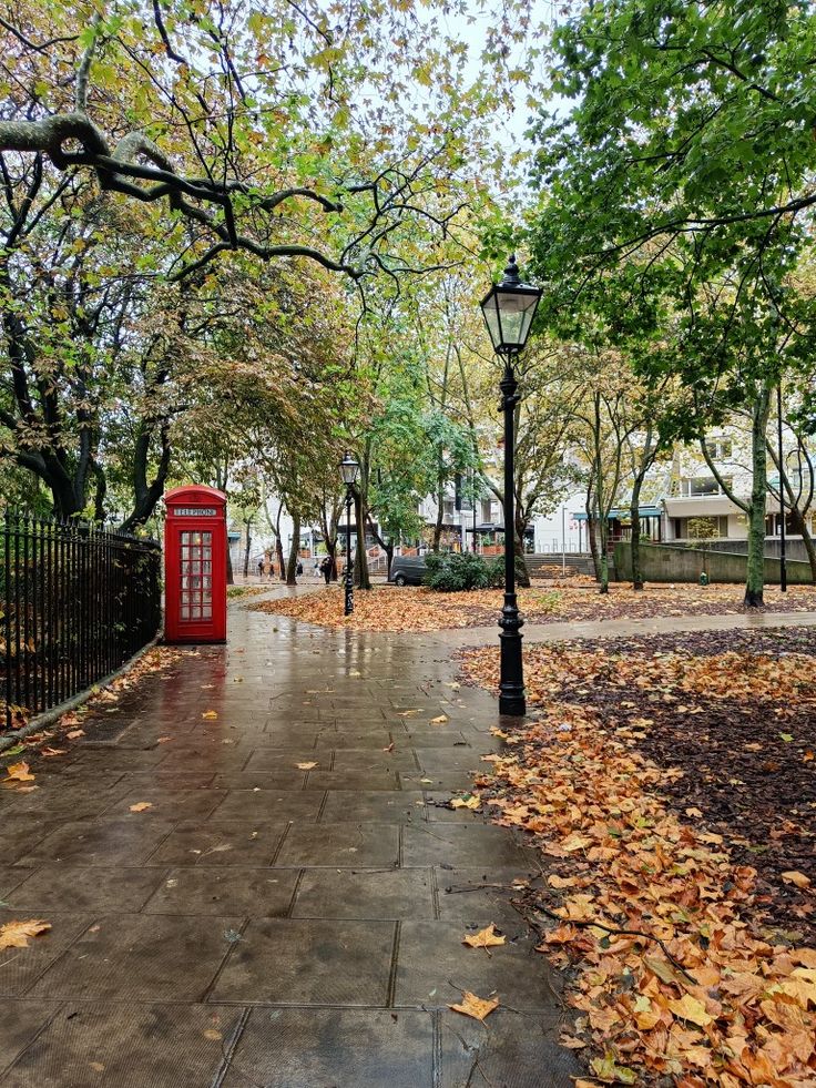 a red phone booth sitting in the middle of a park with leaves on the ground