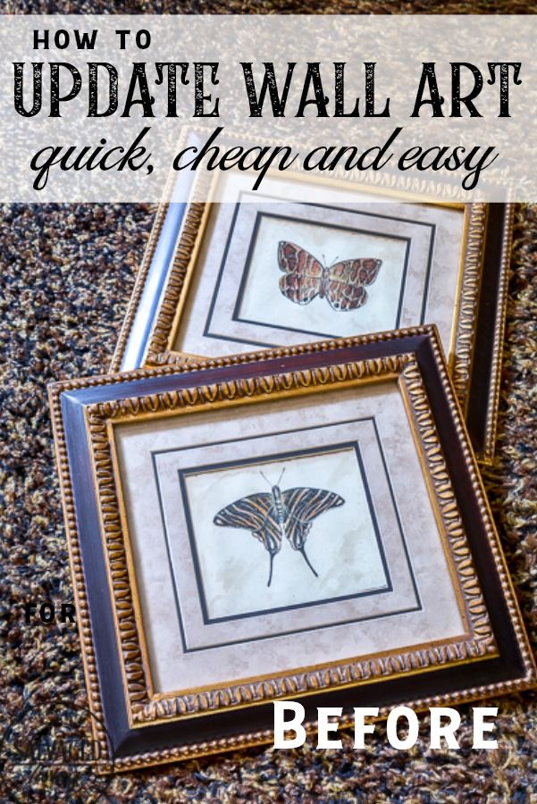 two framed butterfly pictures sitting on top of a carpet