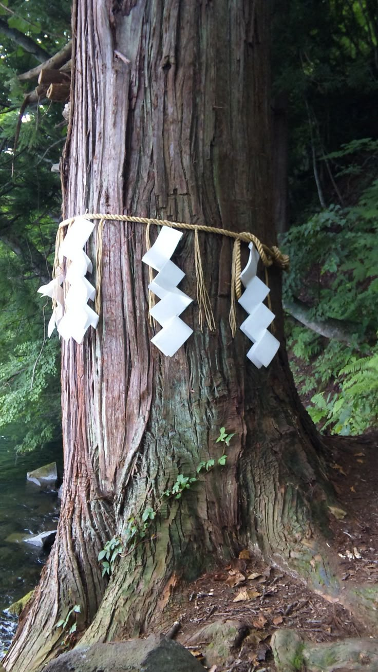 a tree trunk with some paper arrows hanging from it's bark next to a stream