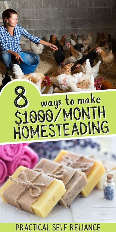 the cover of 8 ways to make $ 10 00 / month homesteading practical self reliance