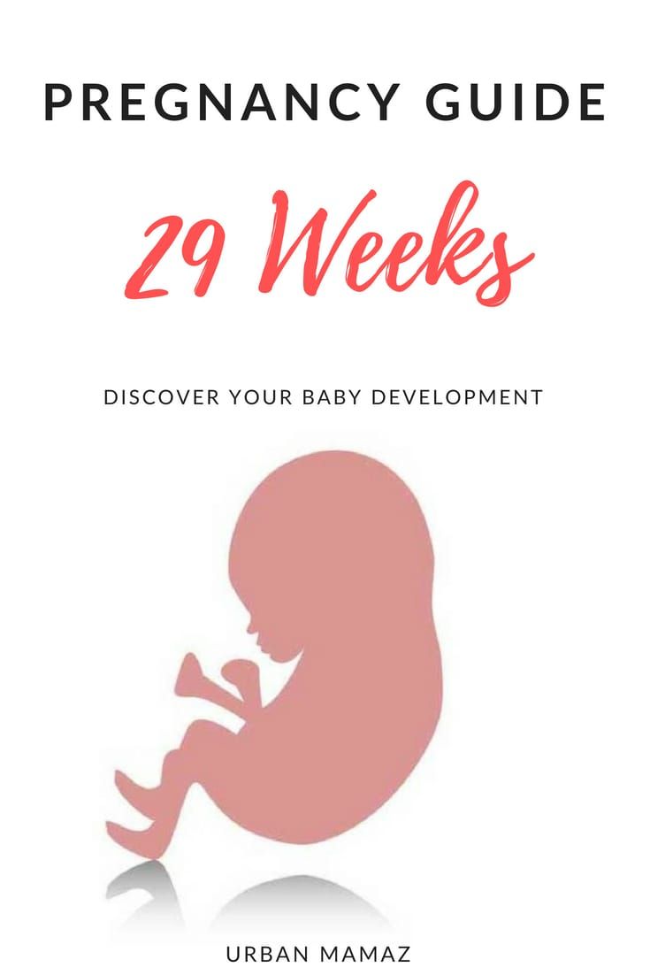 the pregnant baby's guide to 27 weeks