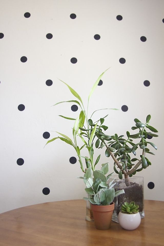 two potted plants sit on a table in front of a wall with black polka dots