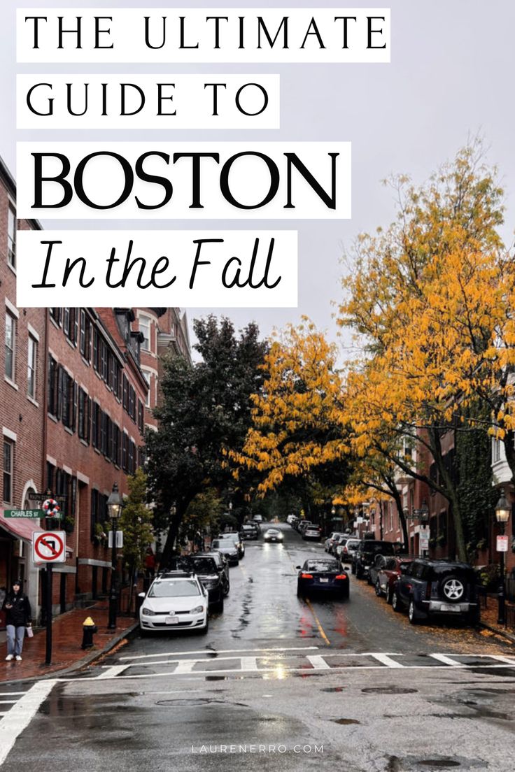 the ultimate guide to boston in the fall