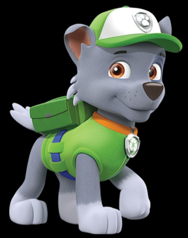 a gray dog wearing a green shirt and hat with a backpack on it's back