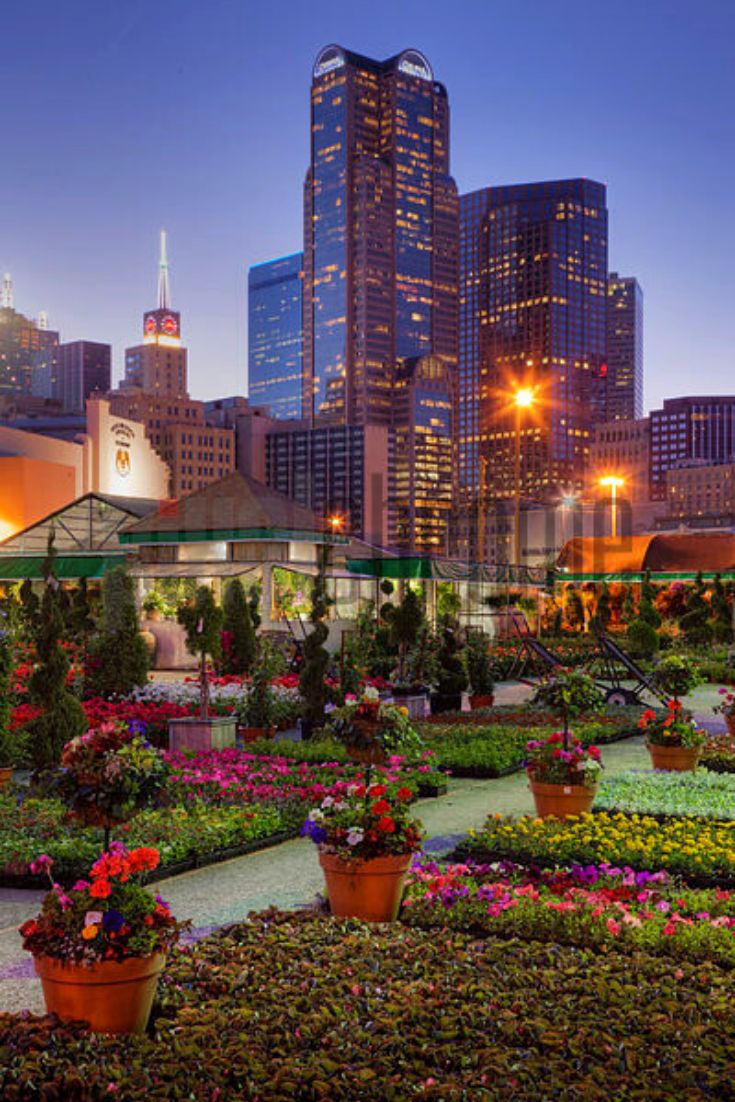 the city skyline is lit up at night, with many flowers and plants in pots