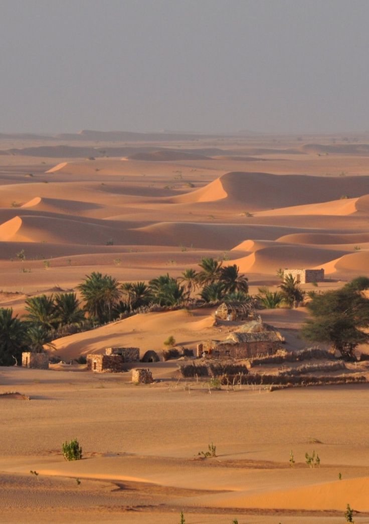 the desert is full of sand dunes and palm trees in the foreground, with small huts on top