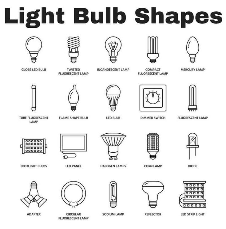 light bulb shapes are shown in black and white, with the words light bulb shapes above them