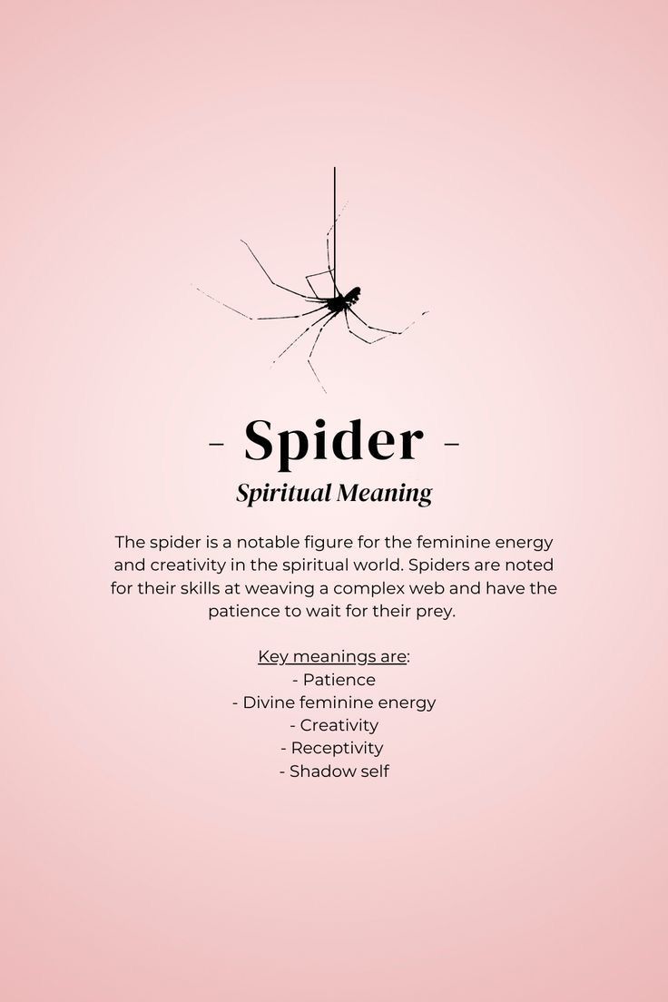 Black Widow Spiritual Meaning, Seeing Spiders Meaning, Spider Spirit Animal, Witchy Spider Tattoo, Spider Spiritual Meaning, Spider Meaning, Spiritual Divine Feminine, Spider Symbolism, Animals Meaning