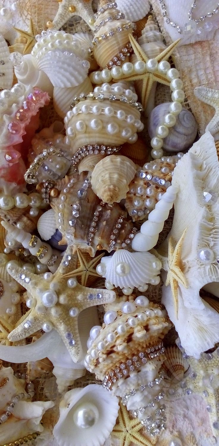 sea shells and pearls are arranged together