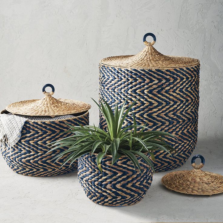 three woven baskets with plants in them