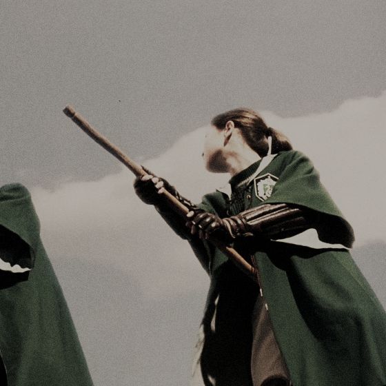 Lestrange Aesthetic, Quidditch Aesthetic, Aesthetic Marauders, Slytherin Girl, Bellatrix Black, Hogwarts Uniform, Slytherin Pride, Hogwarts Aesthetic, Harry Potter Houses