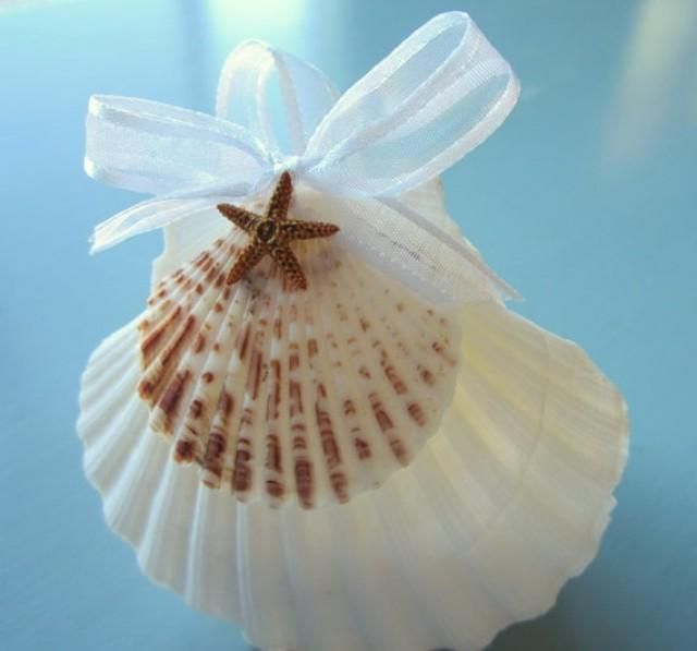 a seashell with a starfish on it sitting on a blue table top,