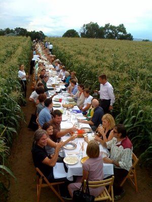 a group of people sitting at a long table in the middle of a corn field