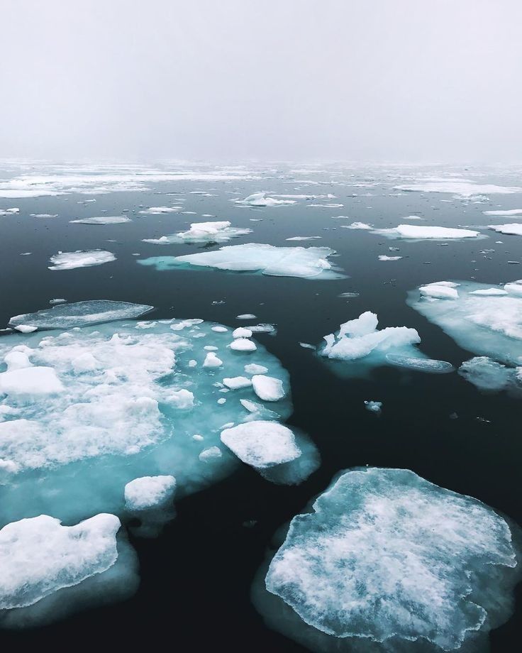 an aerial view of ice floes floating in the water