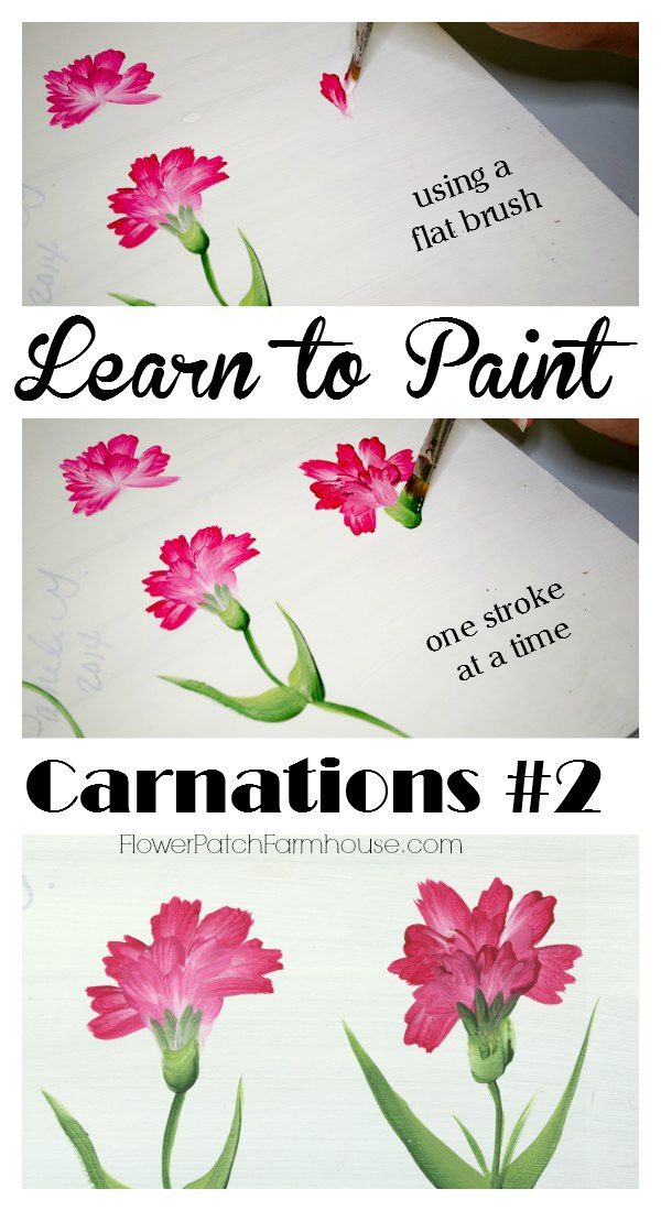 some pink flowers are being drawn on paper with the words, learn to paint carnations 2