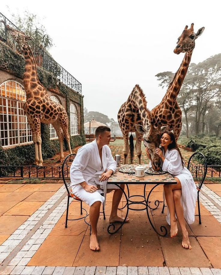 a man and woman sitting at a table with giraffes in the background