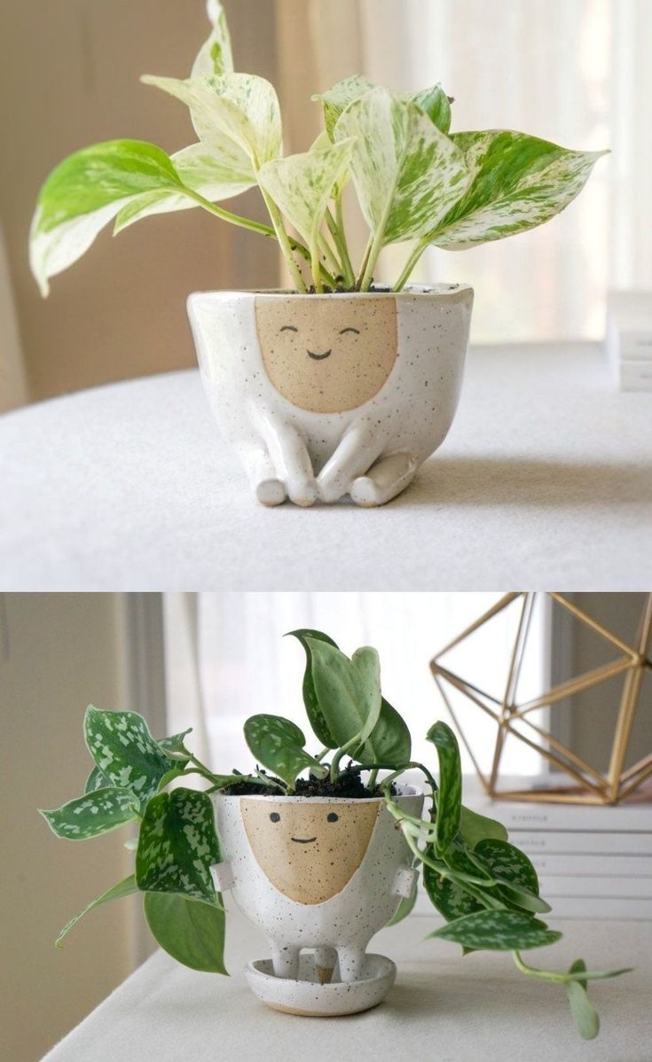 two pictures of plants in pots with faces on them, one is green and the other is white