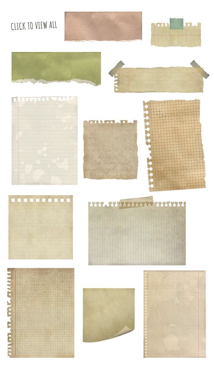 various pieces of paper with torn edges