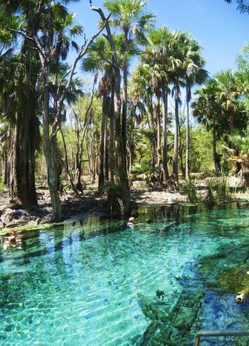 the water is crystal clear and blue in this park area with palm trees on either side