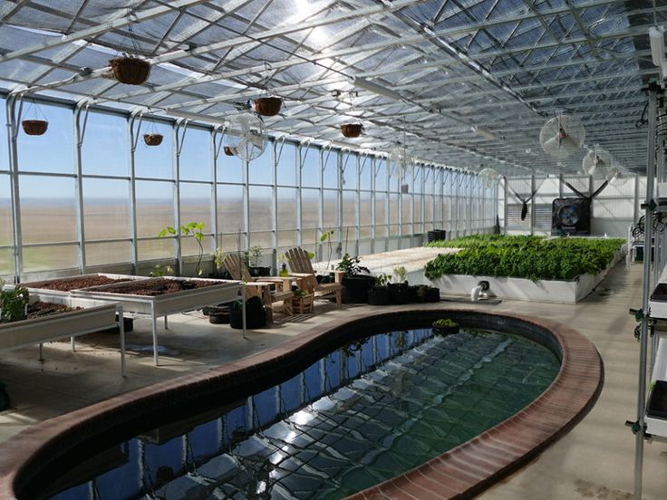 the inside of a greenhouse with many plants growing in pots and on tables next to an indoor swimming pool