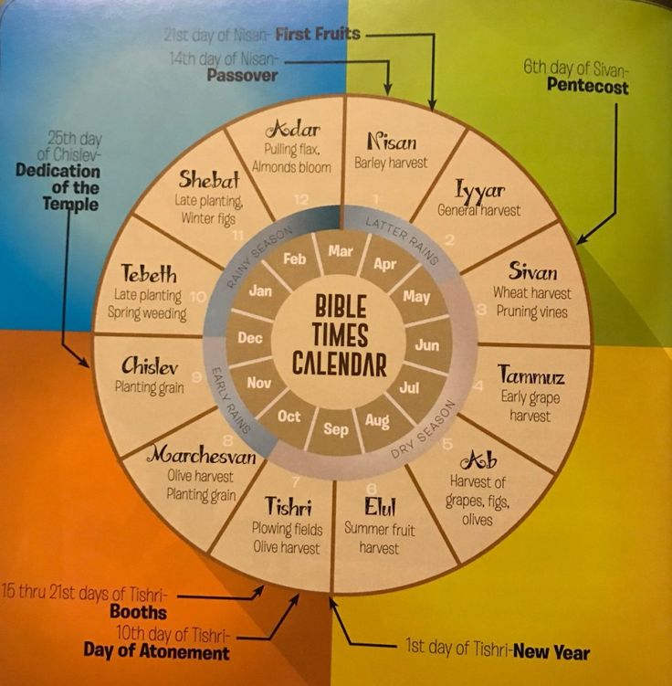 the bible times calendar is shown in this graphic above it's color scheme for each month