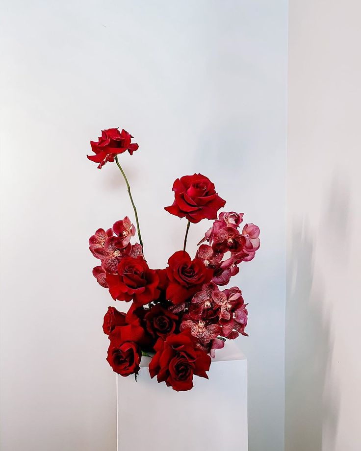 a white vase filled with red flowers on top of a table