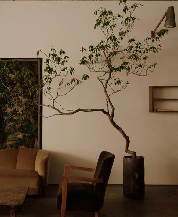 a living room with two chairs and a tree in the corner on the wall behind it