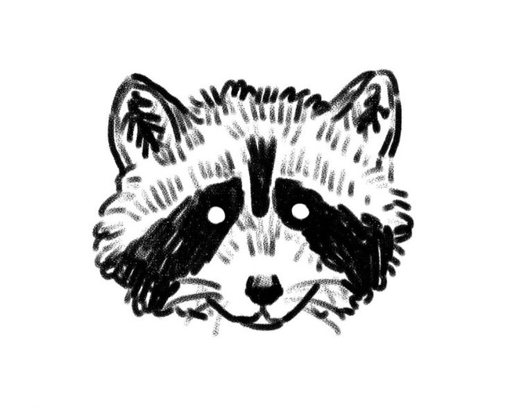 a black and white drawing of a raccoon's face