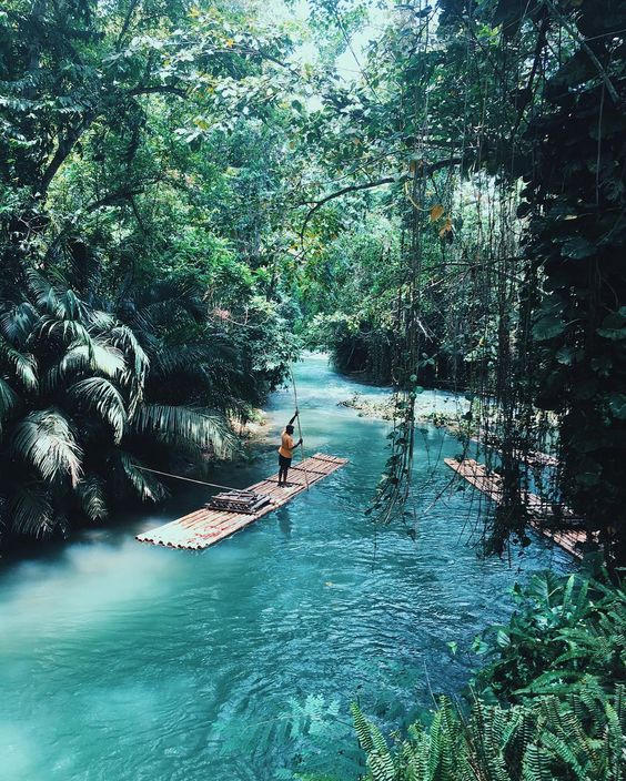 a man standing on a raft in the middle of a river surrounded by lush green trees