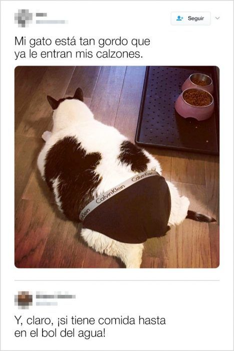 a black and white cat laying on top of a wooden floor next to a bowl