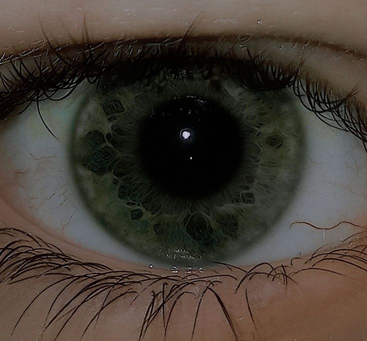 Dull Green Eyes, Glowing Green Eyes Aesthetic, Forest Green Eyes Aesthetic, Dark Olive Green Aesthetic, Dark Green Aethstetic, Dark Green Eyes Aesthetic, Dark Green And Brown Aesthetic, Dark Green Aura, Dark Green Vibes