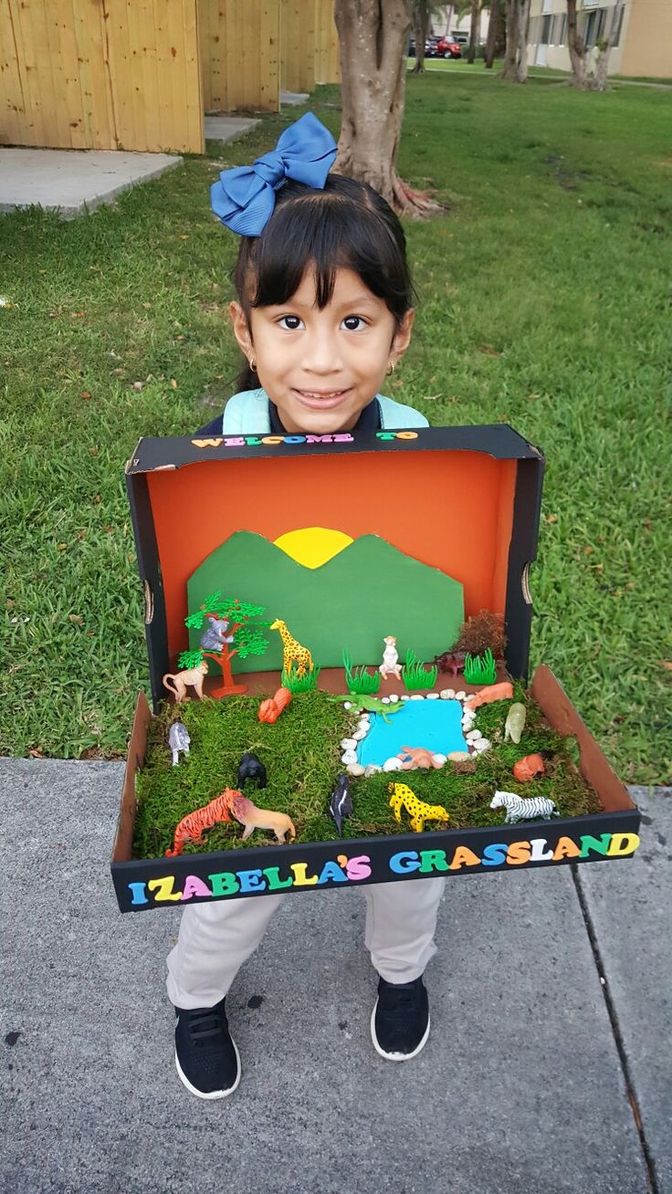 Grassland Diorama Farm Habitat Diorama, Grassland Biome Project Ideas, Animal Habitats Project, Animal School Project Ideas, Shoebox Animal Habitat Project, Kids Diorama Ideas, Jungle Project, Zoo Projects For Kids, Forest Project