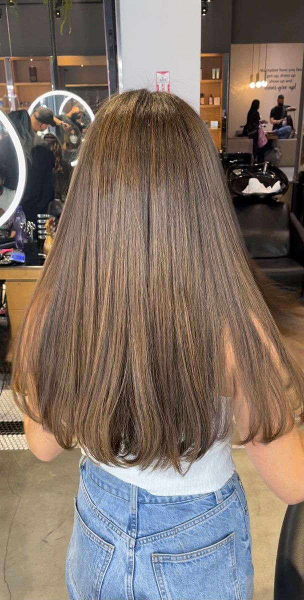 Level 5 Light Brown Hair, Healthy Light Brown Hair, Light Brown Hair No Highlights Natural, Light Brown Dyed Hair, Light Brown Hair Without Bleach, Straight Light Brown Hair, Light Brown Hair Natural, Natural Balayage Light Brown, Light Brown Hair Straight