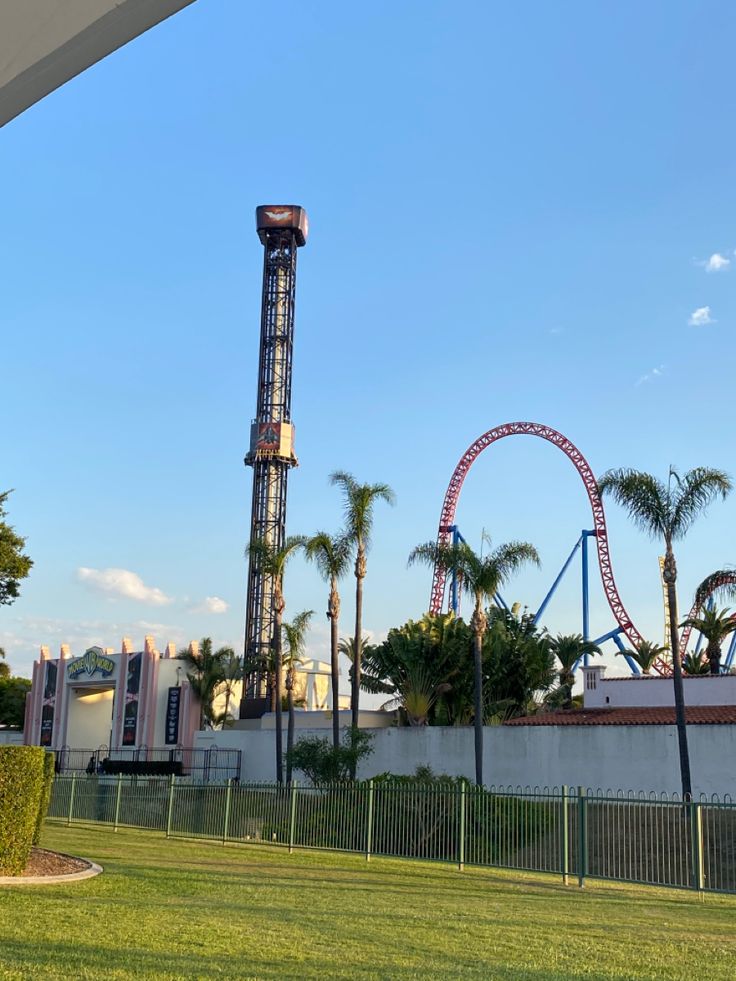 an amusement park with a roller coaster in the background and palm trees on the other side