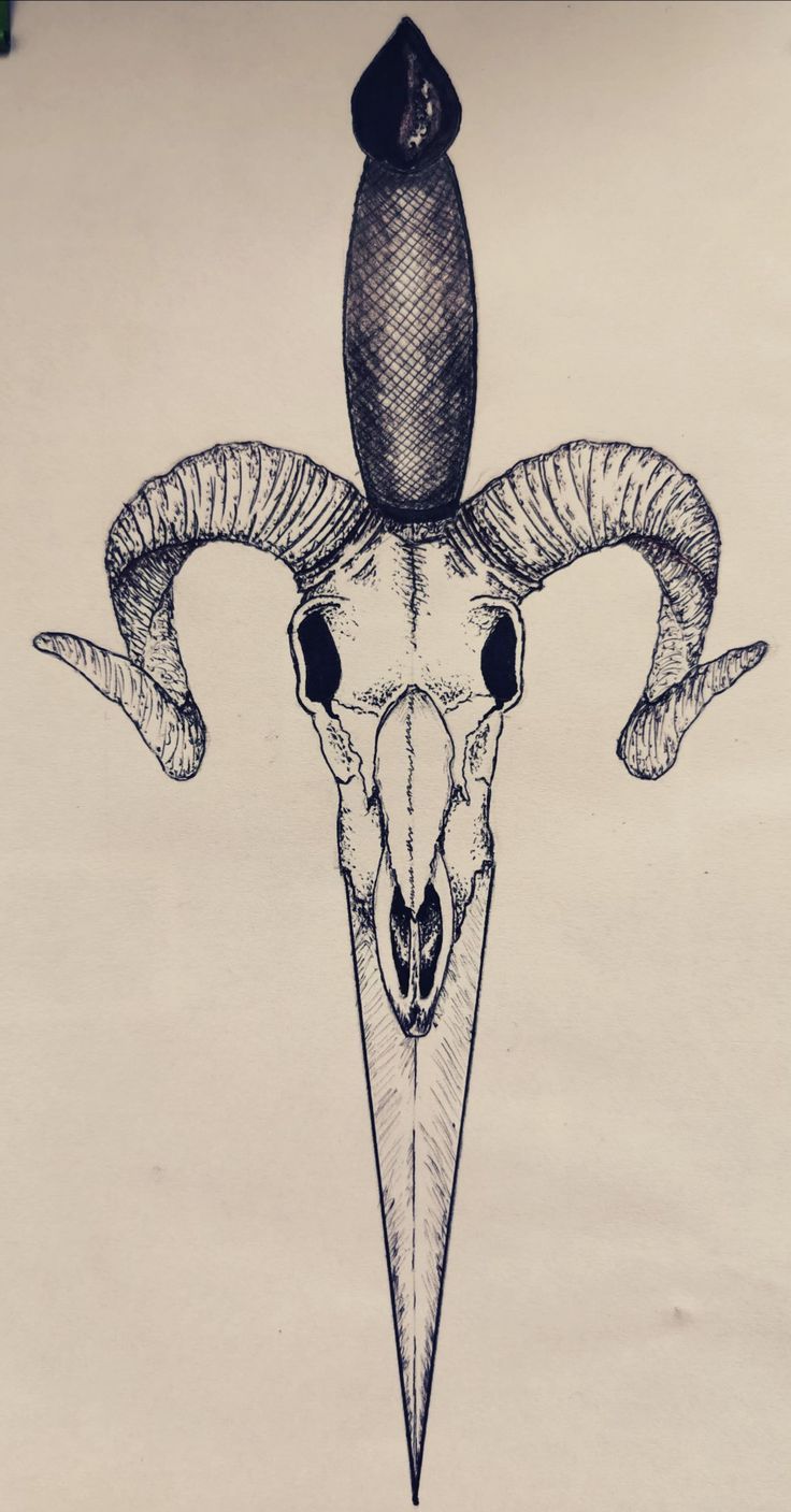 a drawing of a goat skull with horns and an antelope's head