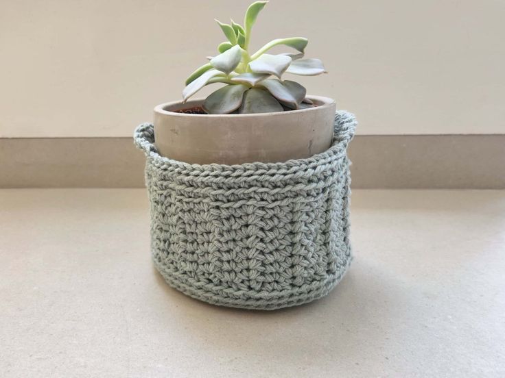 a crocheted pot holder holds a small succulent plant in it's center