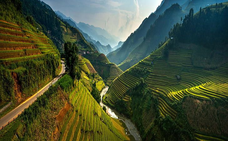 an aerial view of rice terraces in the mountains