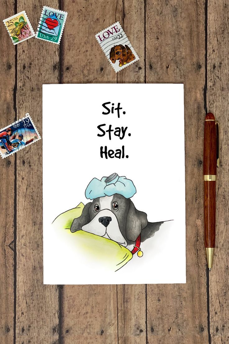 a card with an image of a dog wearing a chef's hat and the words sit, stay, heal