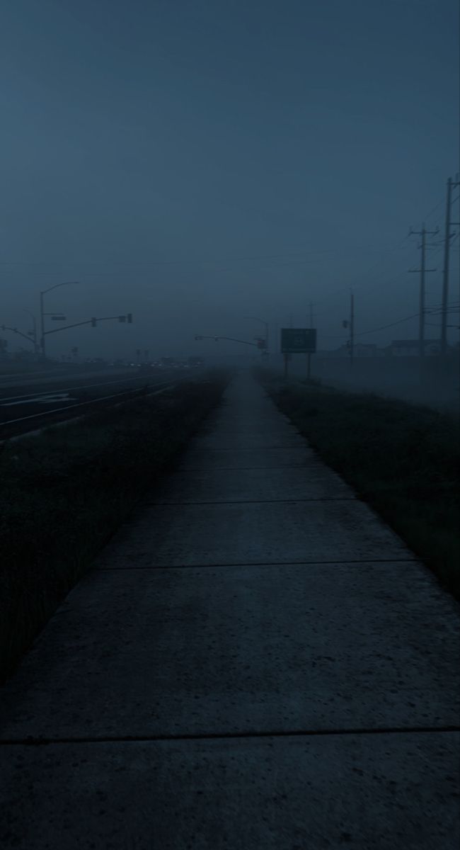 an empty road in the middle of a foggy field with traffic lights on either side