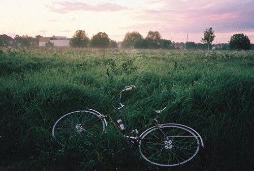 a bike is sitting in the tall grass