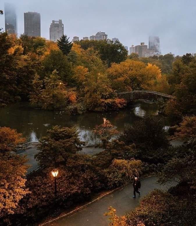 a person walking down a path next to a river in the middle of a park