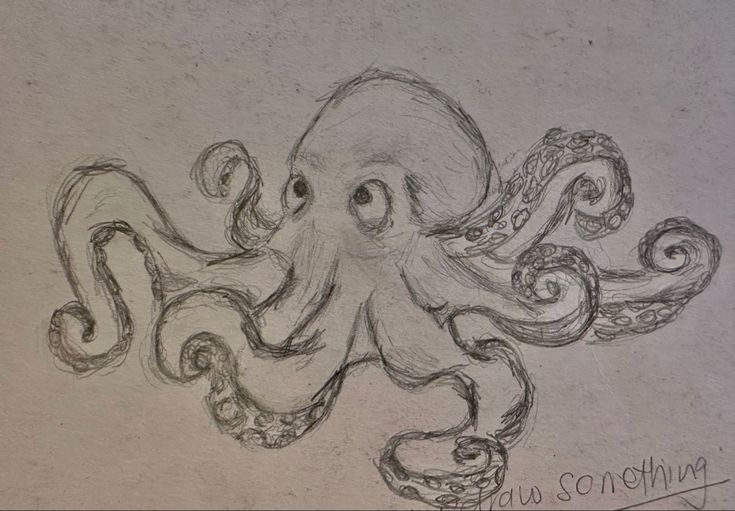 an octopus drawn in pencil on paper